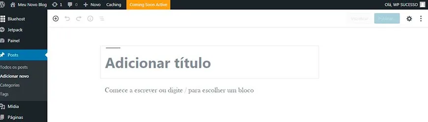 Como Criar Um Site WordPress – Guia Passo a Passo Para Iniciantes 25 Criar Primeiro Post no WordPress